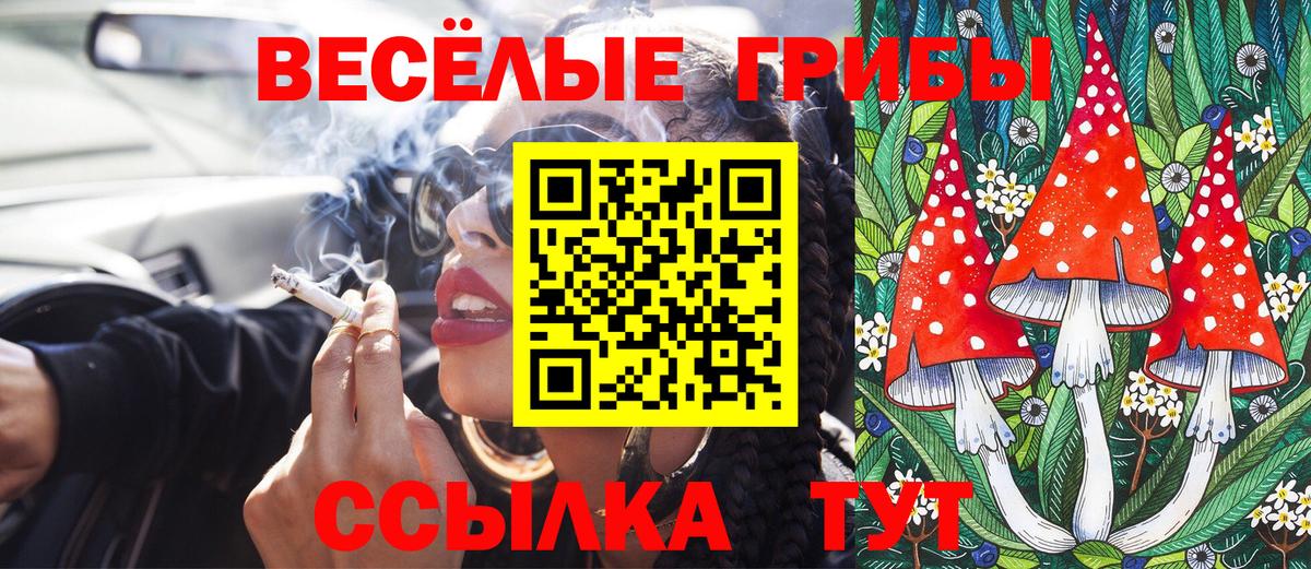 купить наркотик  Вход с VPN  Горно-Алтайск  Псилоцибиновые грибы мицелий 